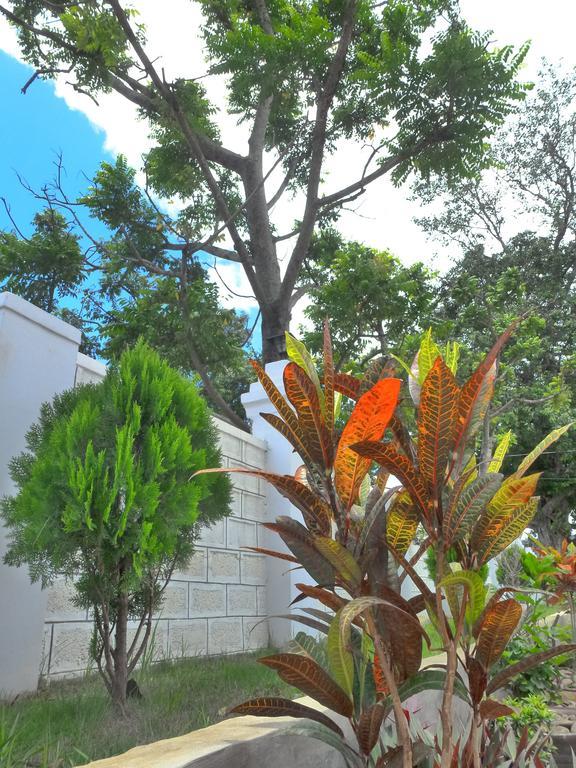 Golden Lotus Inle Hotel Ньоншуэ Экстерьер фото